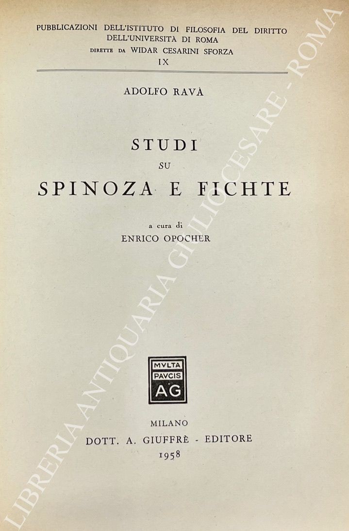 Studi su Spinoza e Fichte