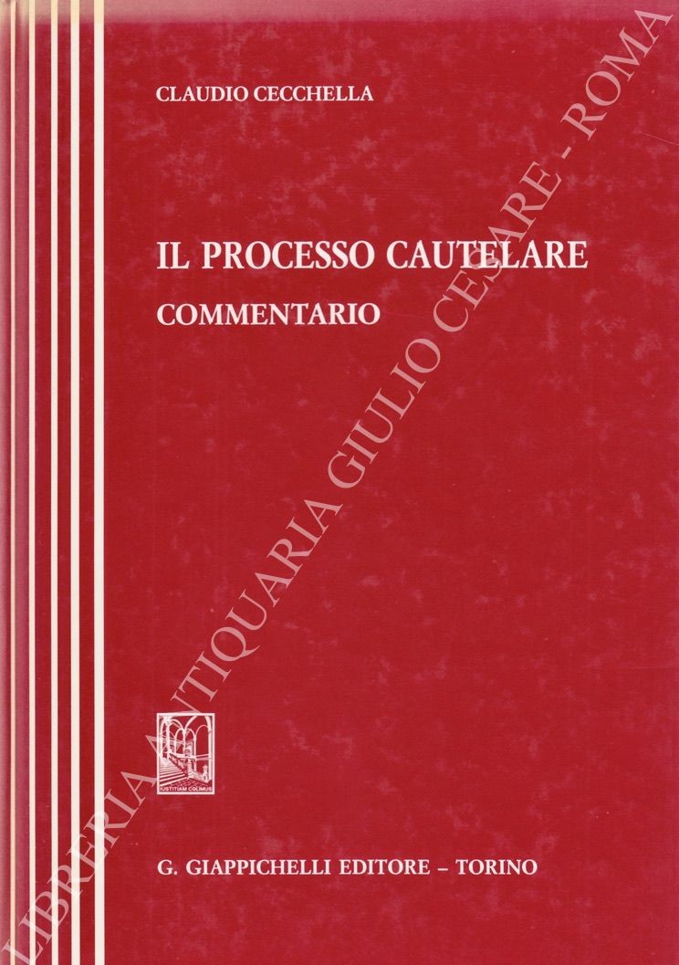Il processo cautelare