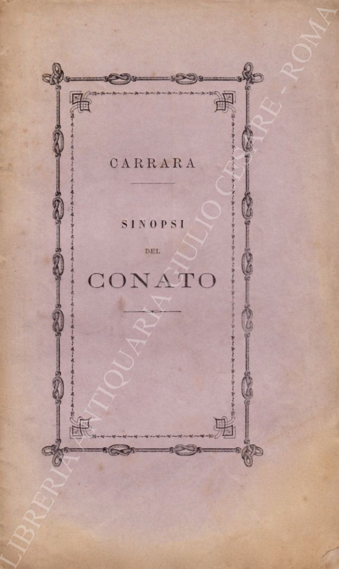 Sinopsi delle mie opinioni sul conato