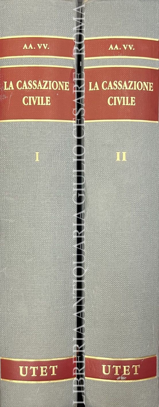 La cassazione civile
