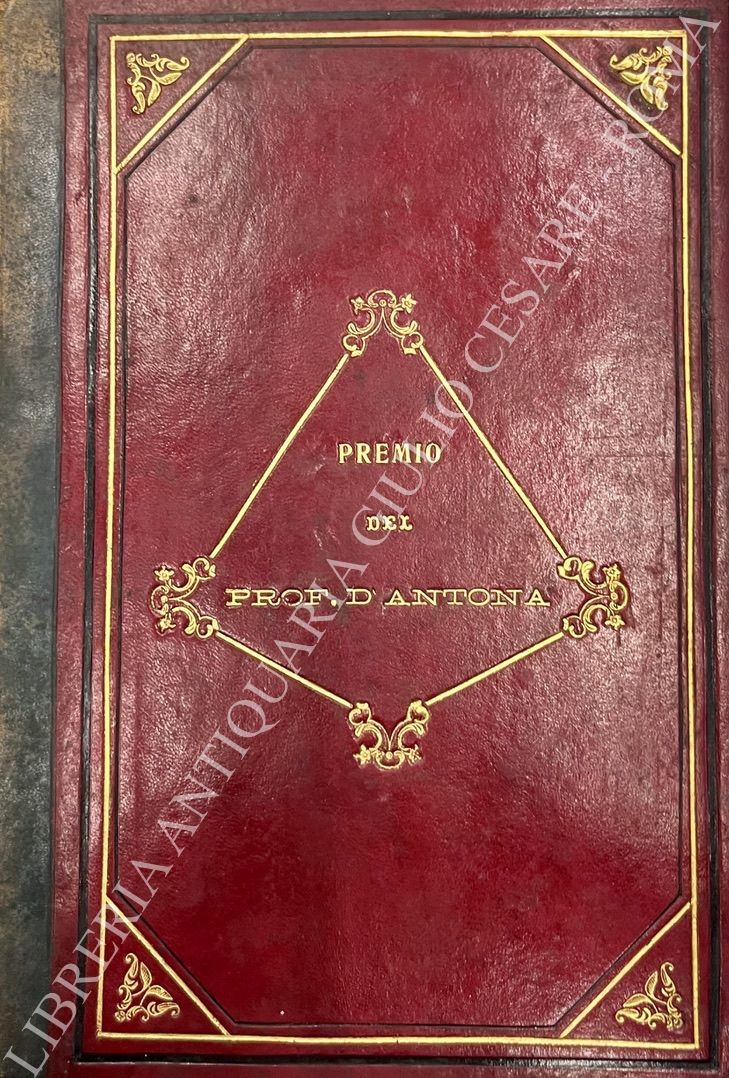 La nuova chirurgia del sistema nervoso centrale