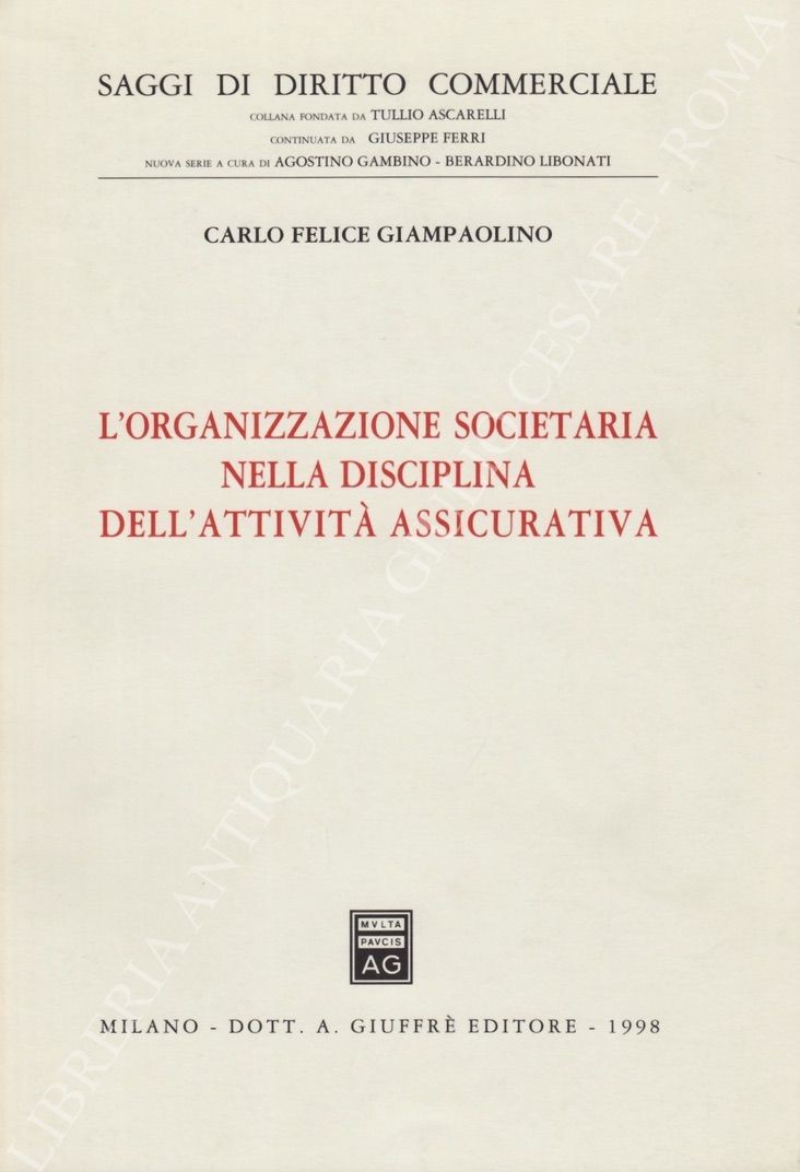 L'organizzazione societaria nella discipina dell'attività