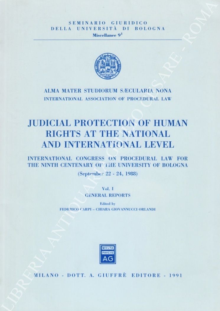 Judicial protection of human rights at the national and international level
