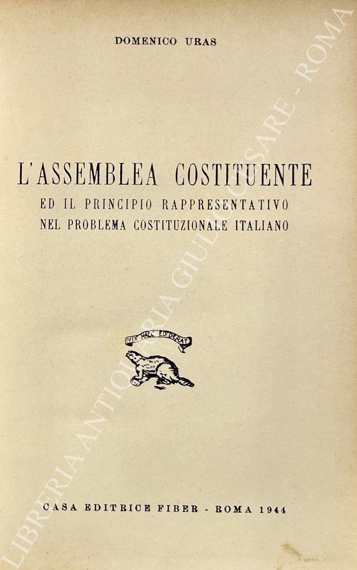 L'assemblea costituente ed il principio rappresentativo