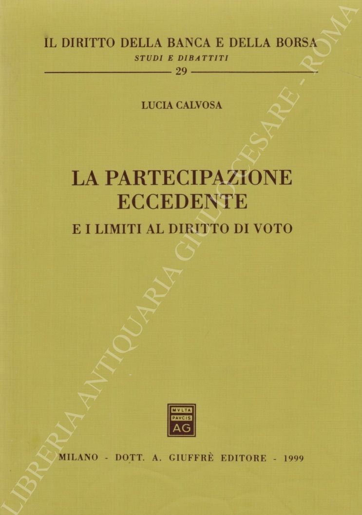 La partecipazione eccedente e i limiti al diritto di voto