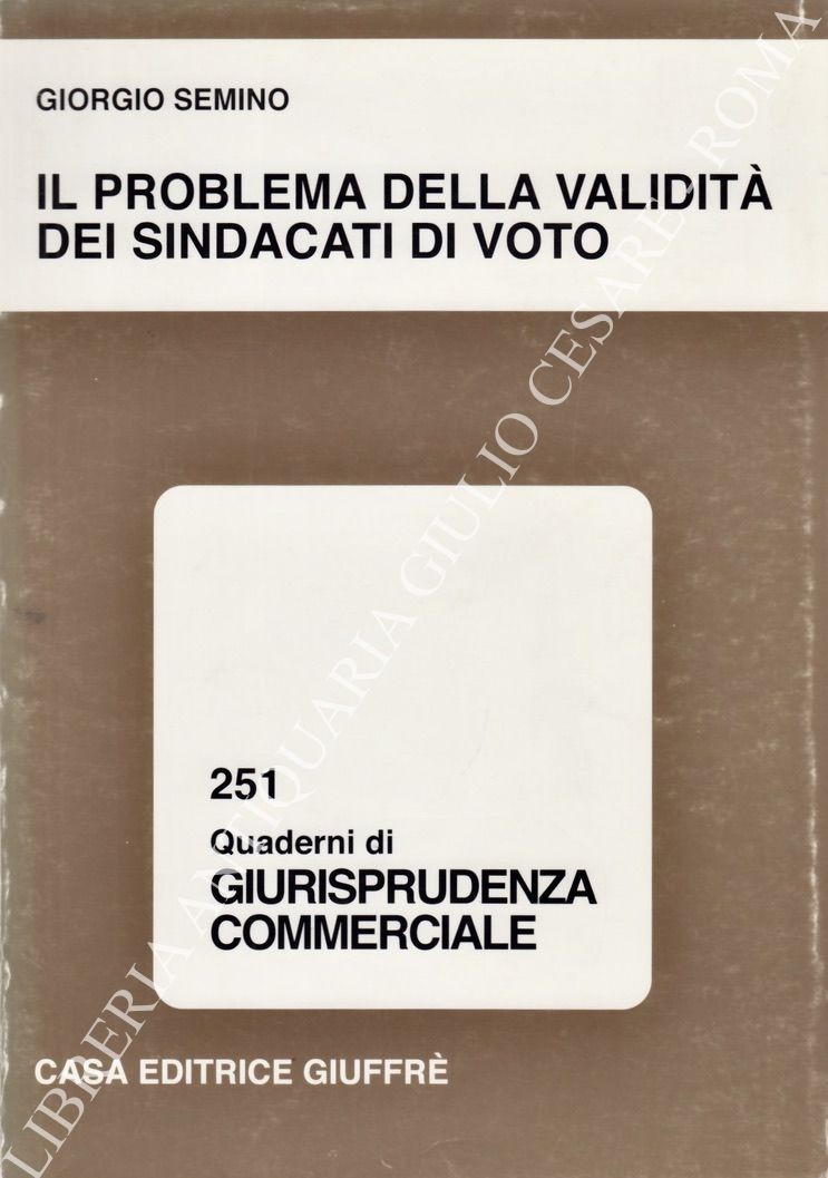 Il problema della validità dei sindacati di voto
