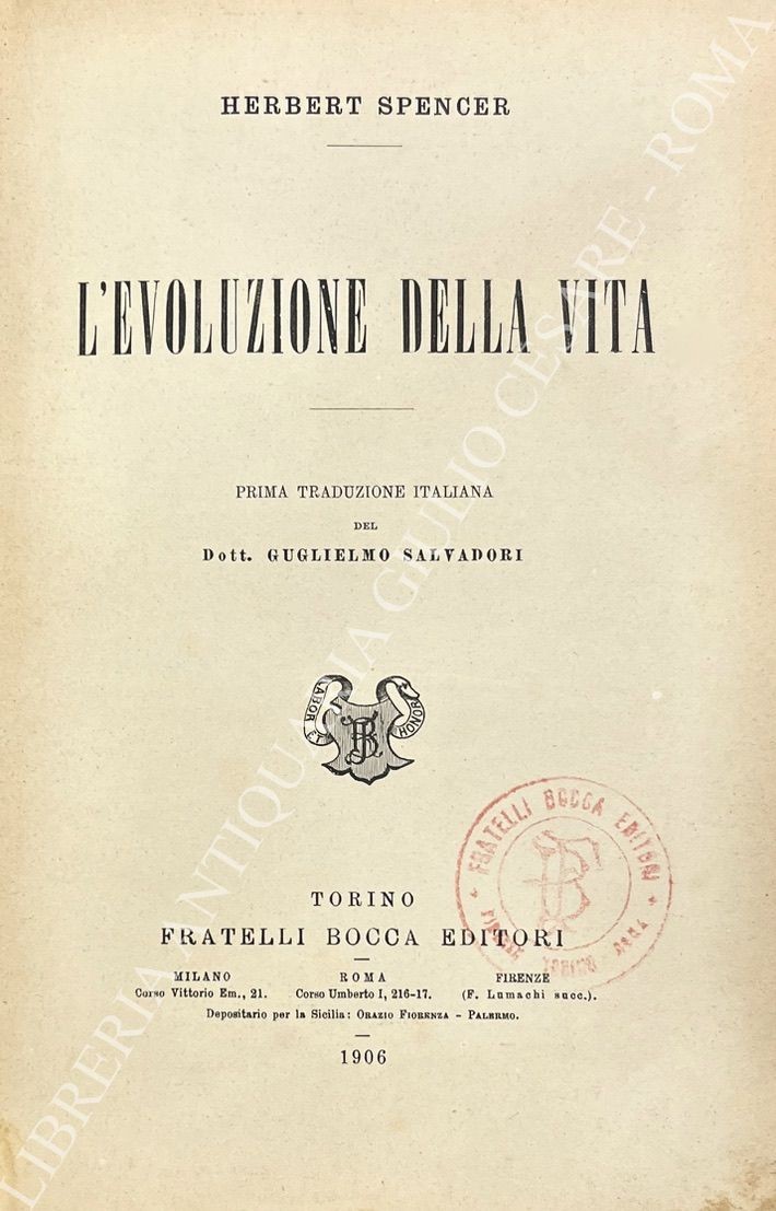 L'evoluzione della vita