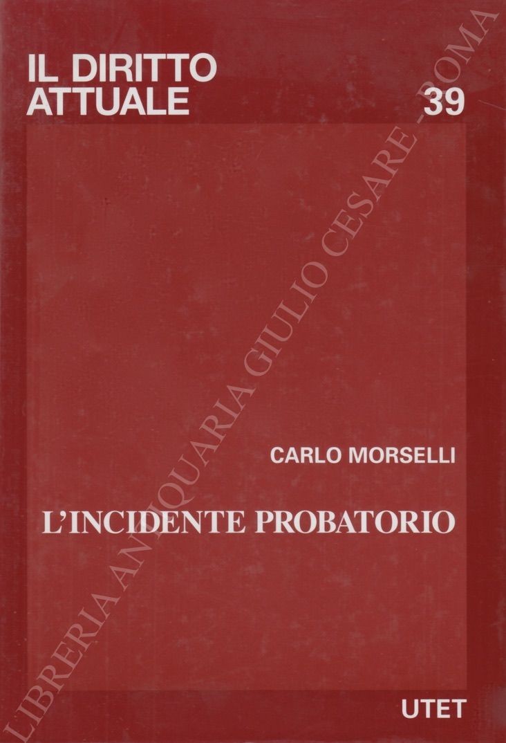L'incidente probatorio