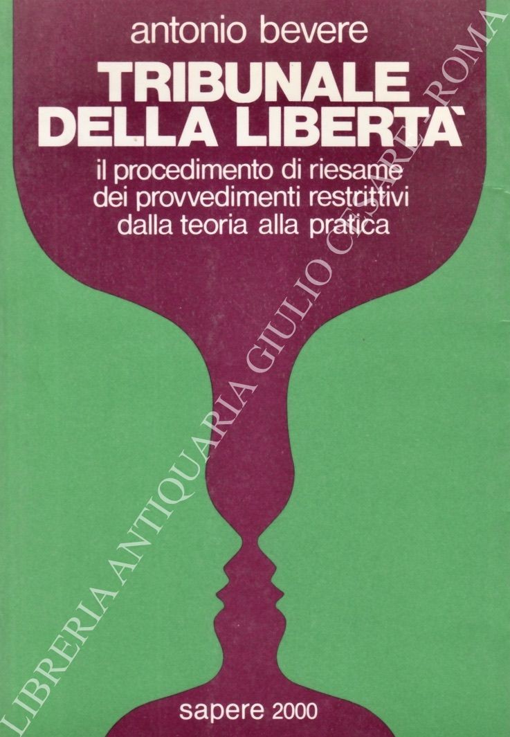 Tribunale della libertà il procedimento di riesame