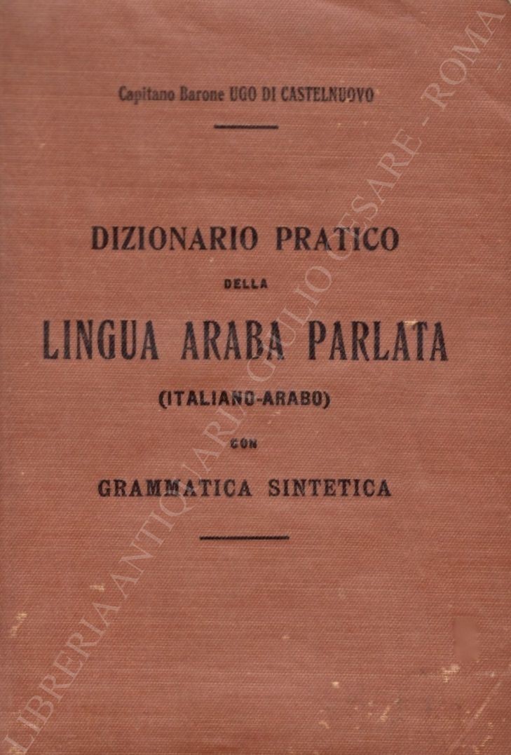 Dizionario pratico della lingua araba parlata
