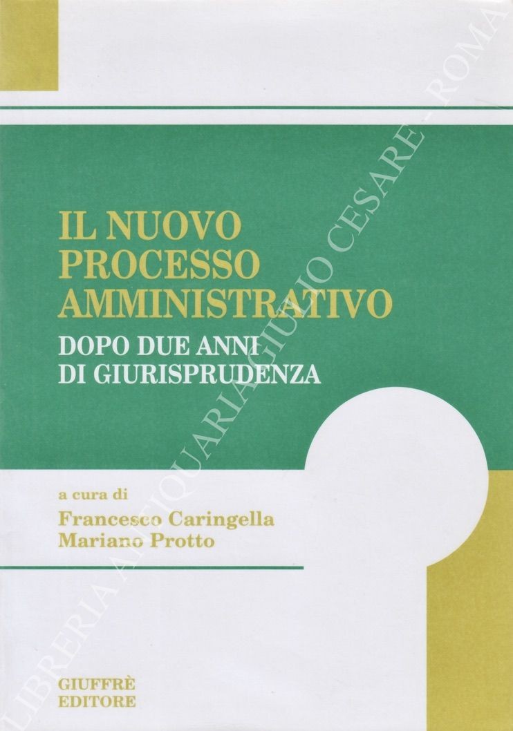 Il nuovo processo amministrativo