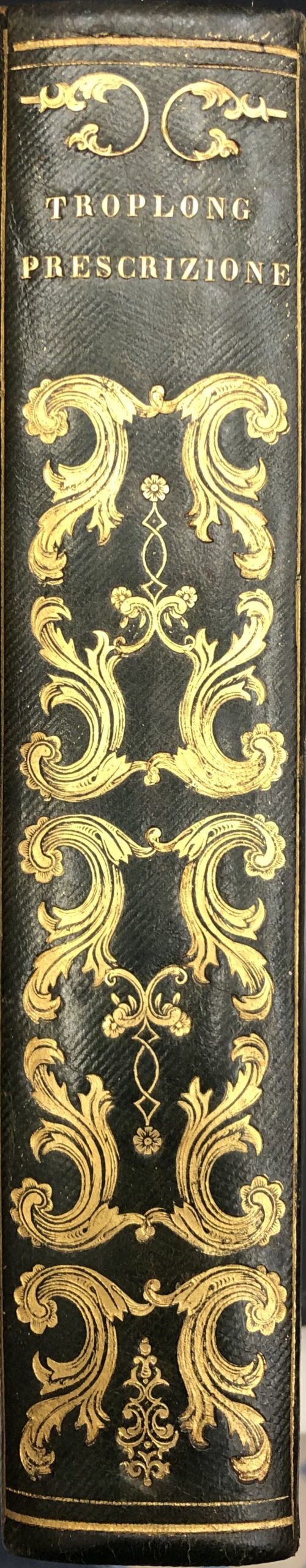 Il dritto civile spiegato secondo l'ordine del Codice