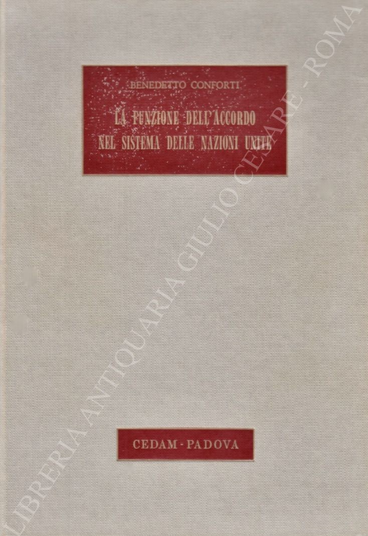 La funzione dell'accordo nel sistema delle Nazioni Unite