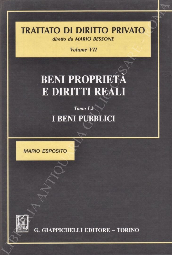 Beni proprietà e diritti reali