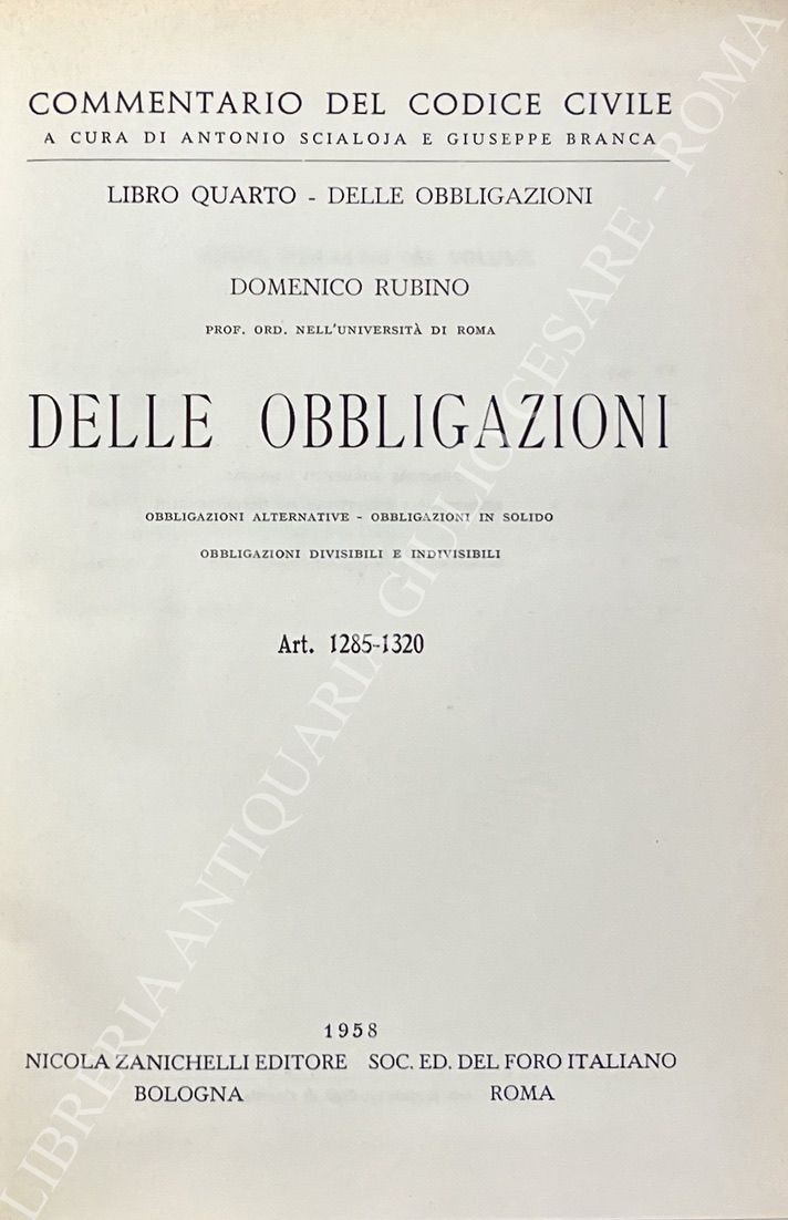Delle obbligazioni. Obbligazioni alternative. Obbligazioni in solido. Obbligazioni divisibili e indivisibili