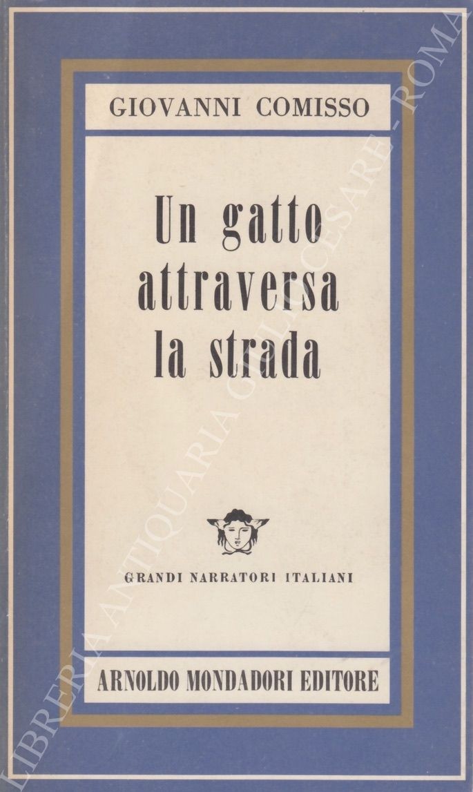 Un gatto attraverso la strada