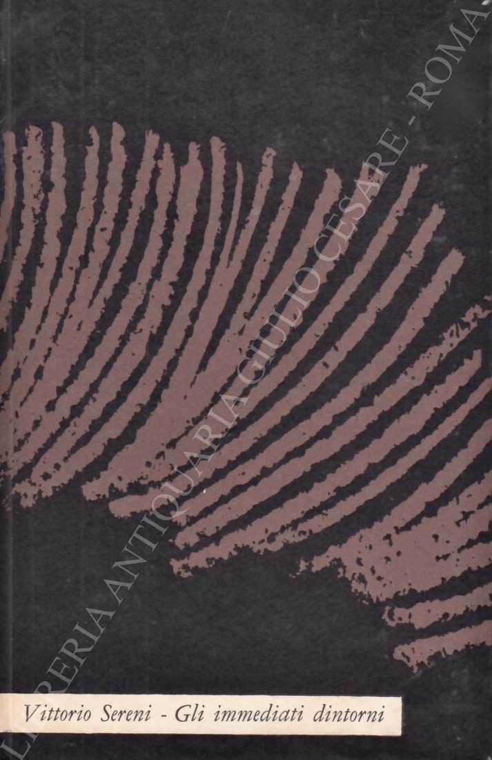 Gli immediati dintorni