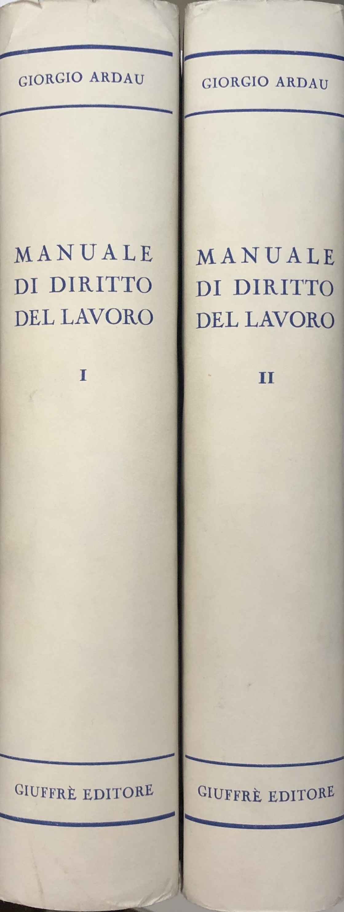 Manuale di diritto del lavoro