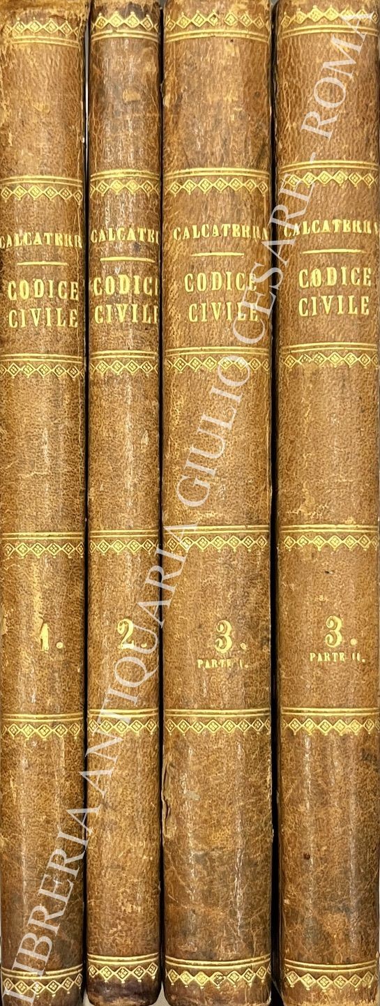 Genesi e sviluppo del codice civile del Regno d'Italia