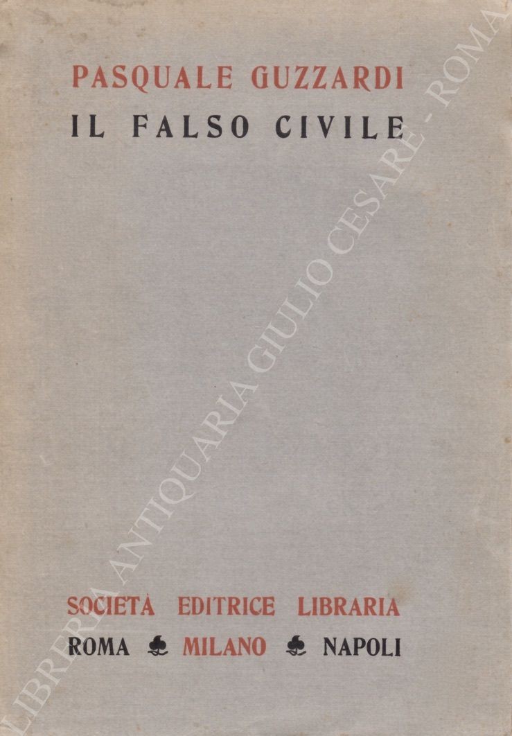 Il falso civile