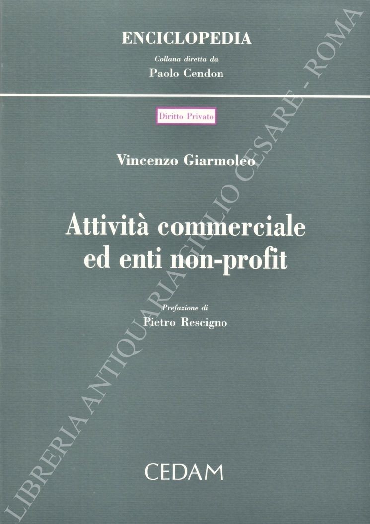 Attività commerciale ed enti non-profit