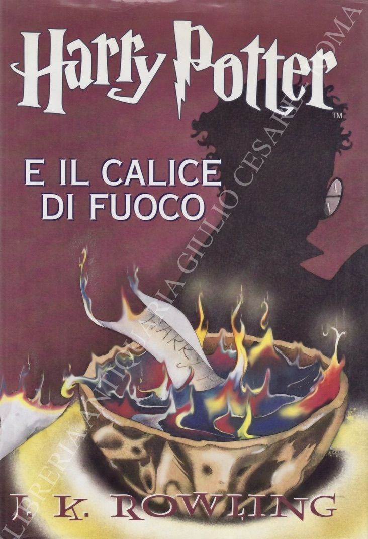 Harry Potter e il calice di fuoco