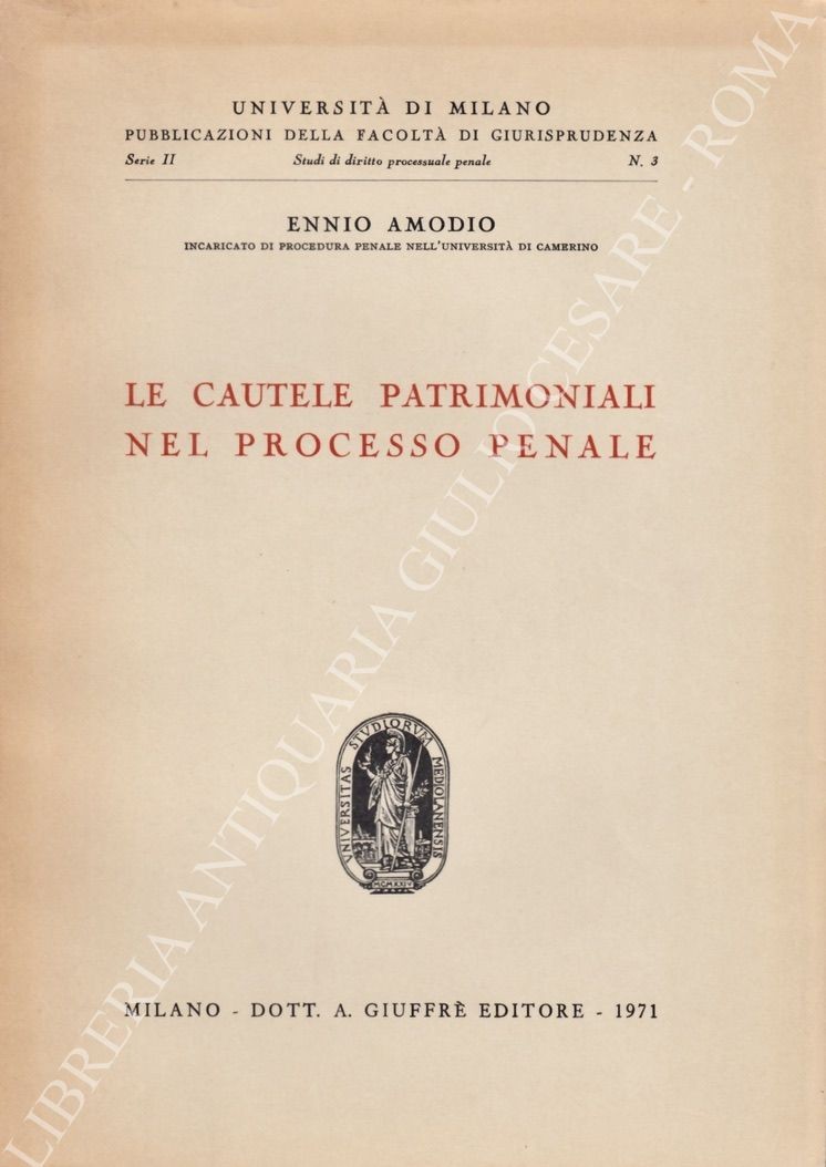 Le cautele patrimoniali nel processo penale