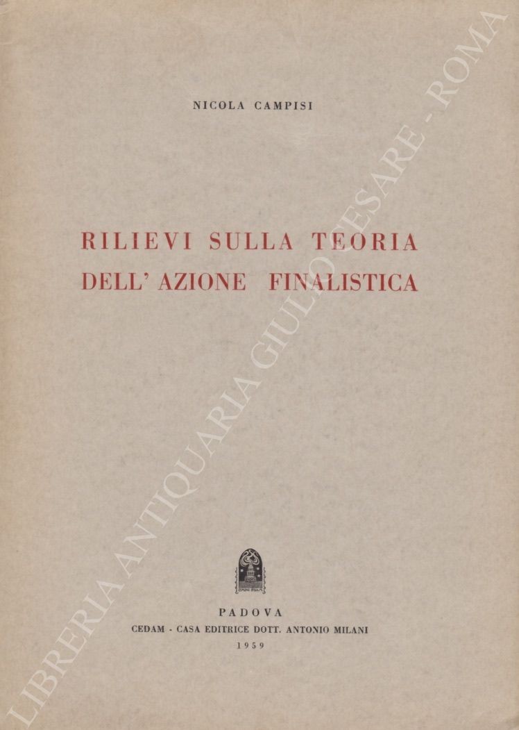 Rilievi sulla teoria dell'azione finalistica