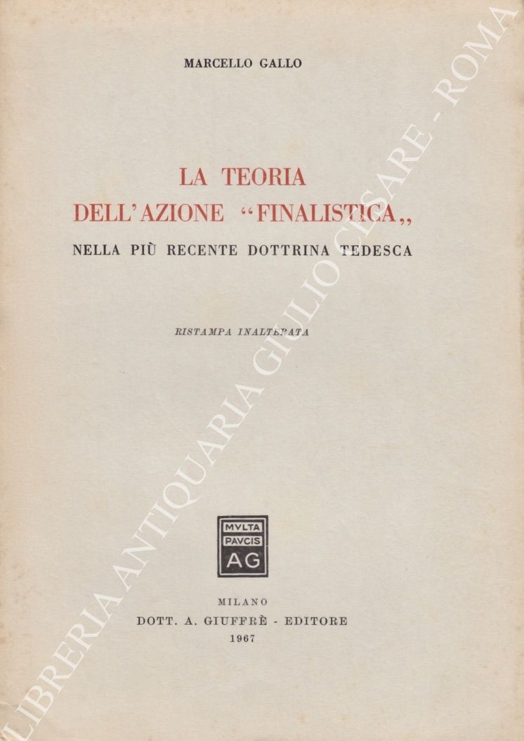 La teoria dell'azione finalistica