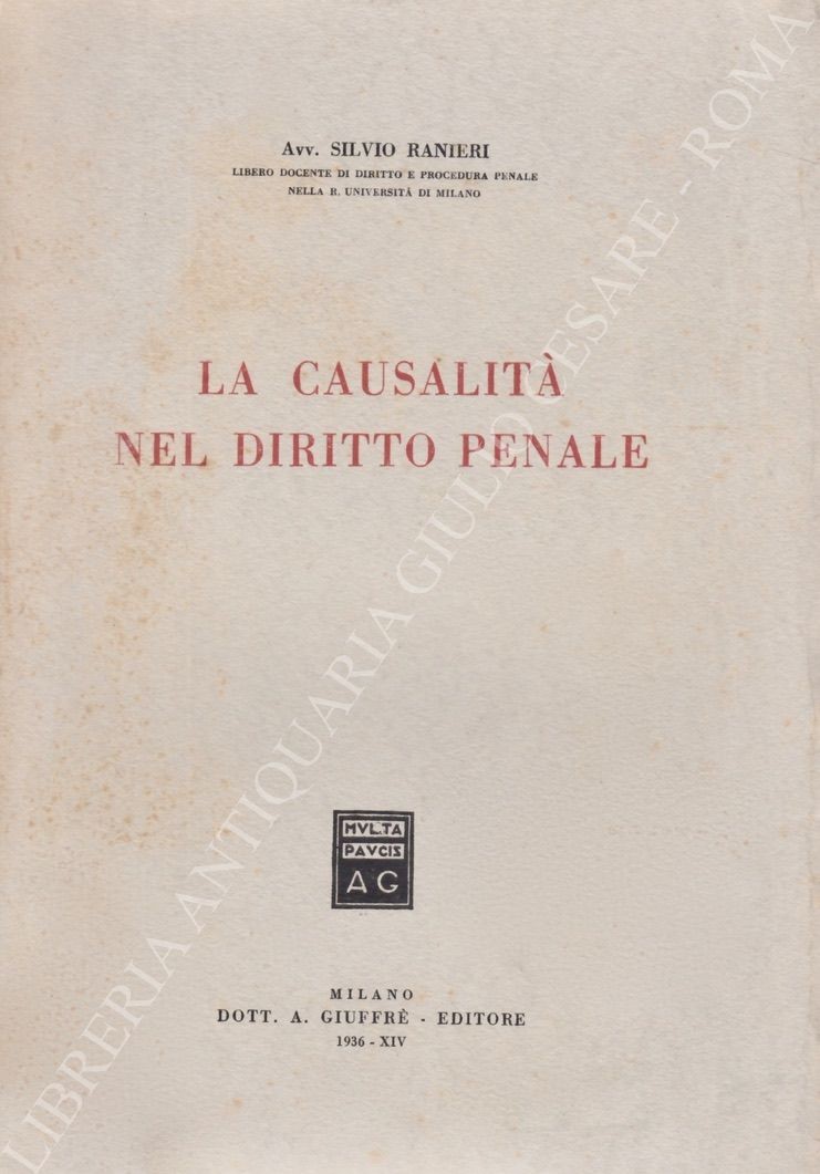 La causalità nel diritto penale