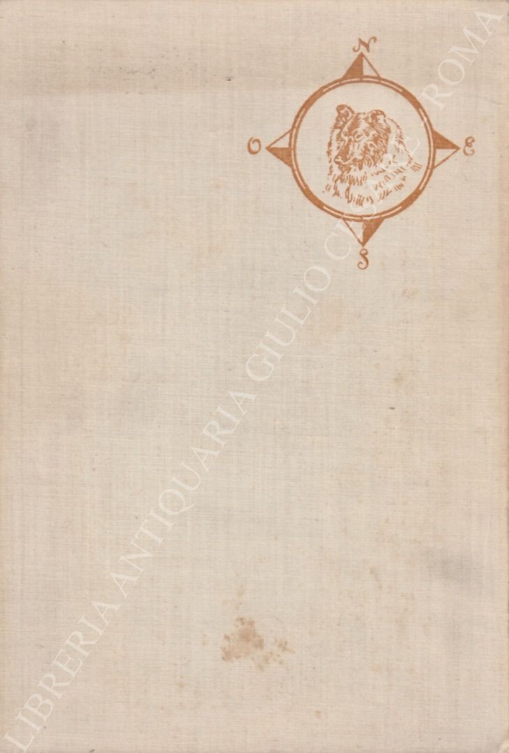 Torna a casa Lassie!