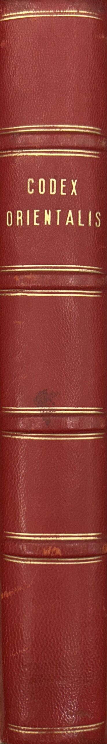 Litterae apostolicae motu proprio datae