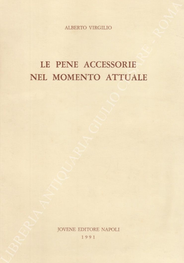 Le pene accessorie nel momento attuale