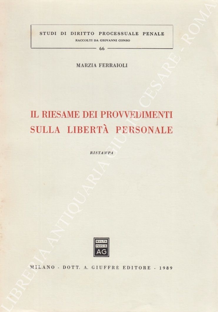 Il riesame dei provvedimenti sulla libertà personale