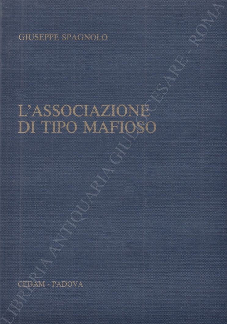 L'associazione di tipo mafioso