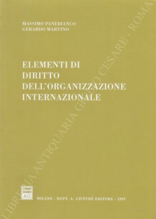 Elementi di diritto dell'organizzazione internazionale