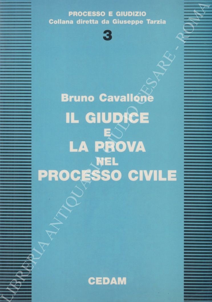 Il giudice e la prova nel processo civile