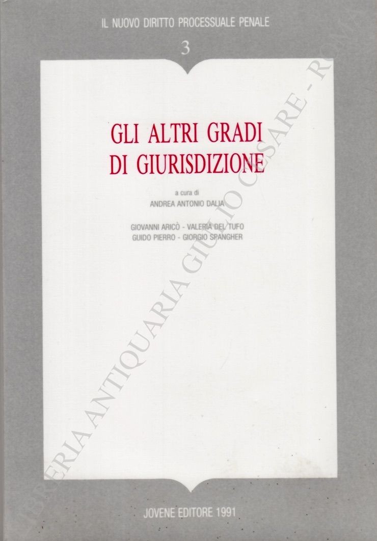 Gli altri gradi di giurisdizione