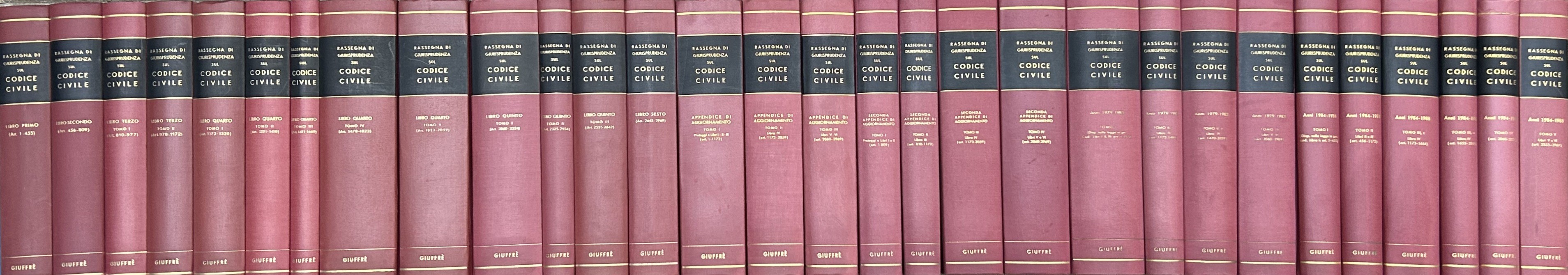 Rassegna di giurisprudenza sul codice civile