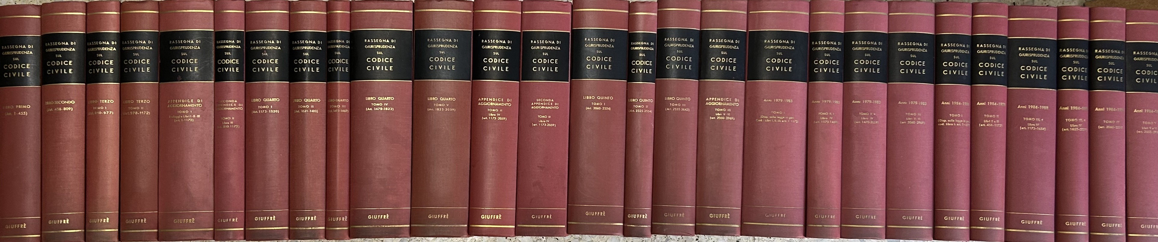 Rassegna di giurisprudenza sul codice civile