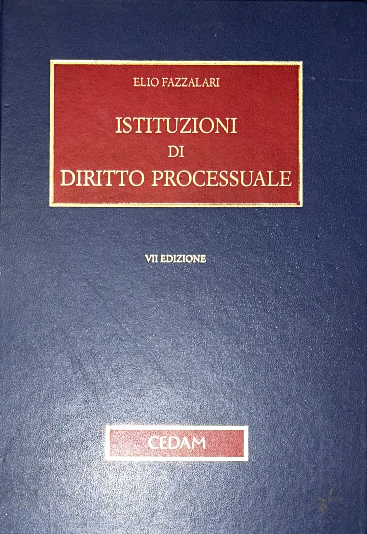 Istituzioni di diritto processuale