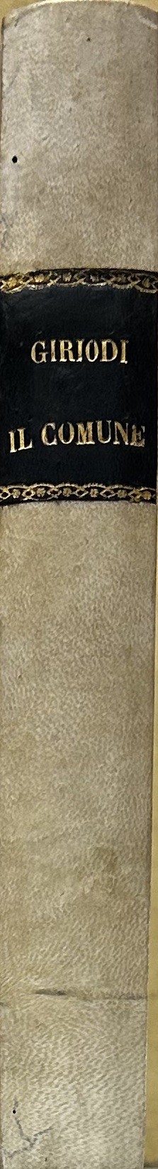 Il Comune nel diritto civile