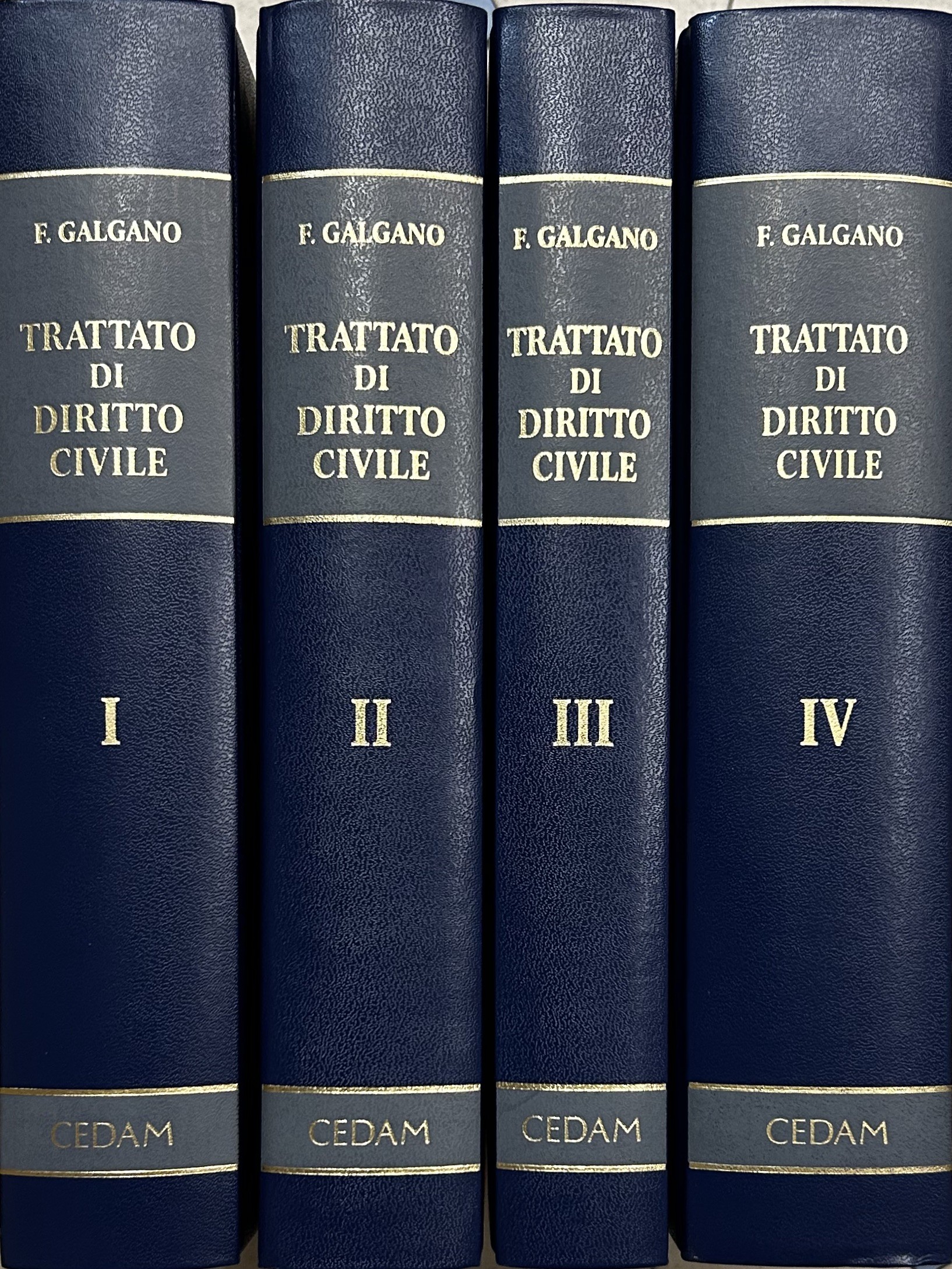 Trattato di diritto civile