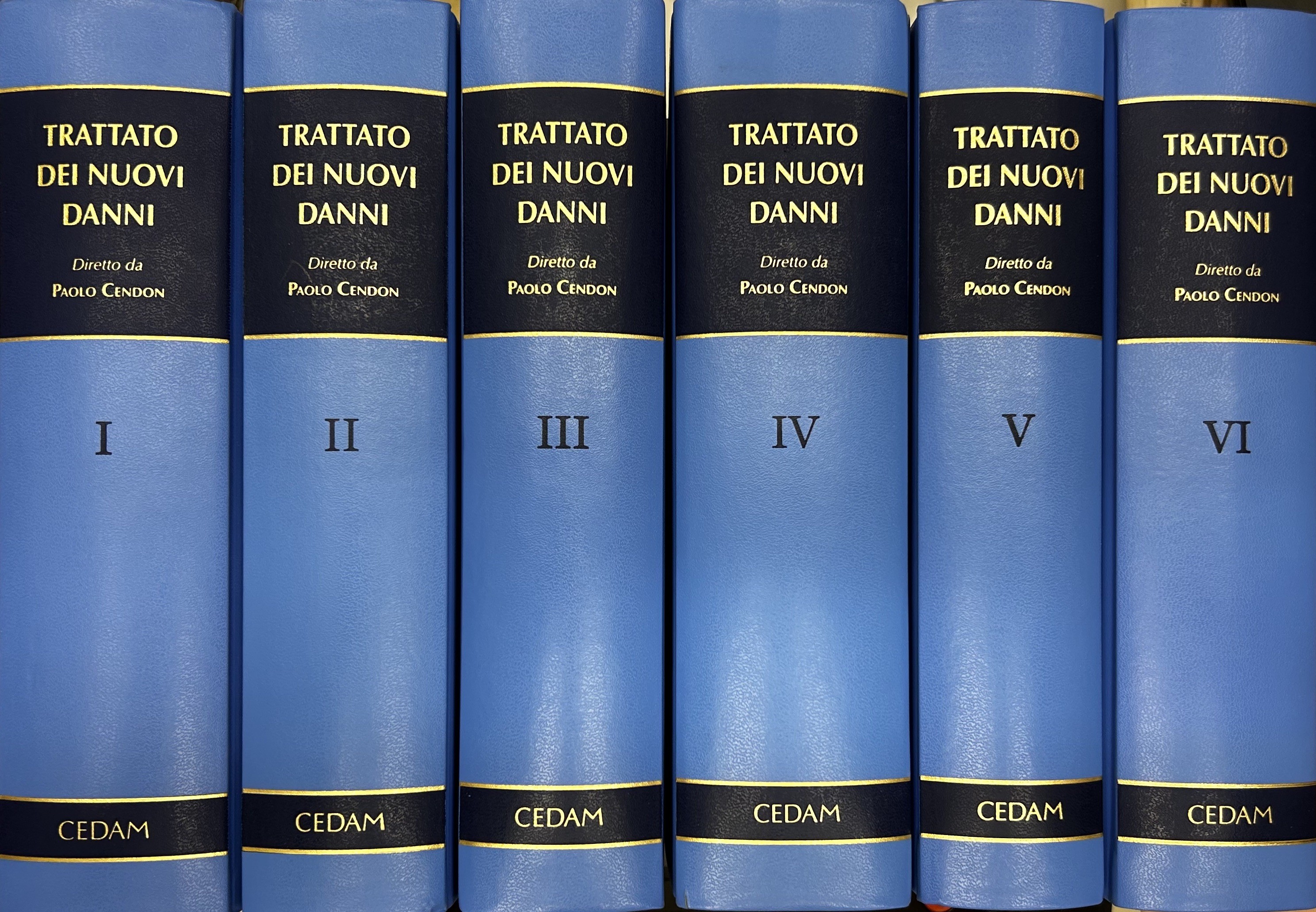 Trattato dei nuovi danni