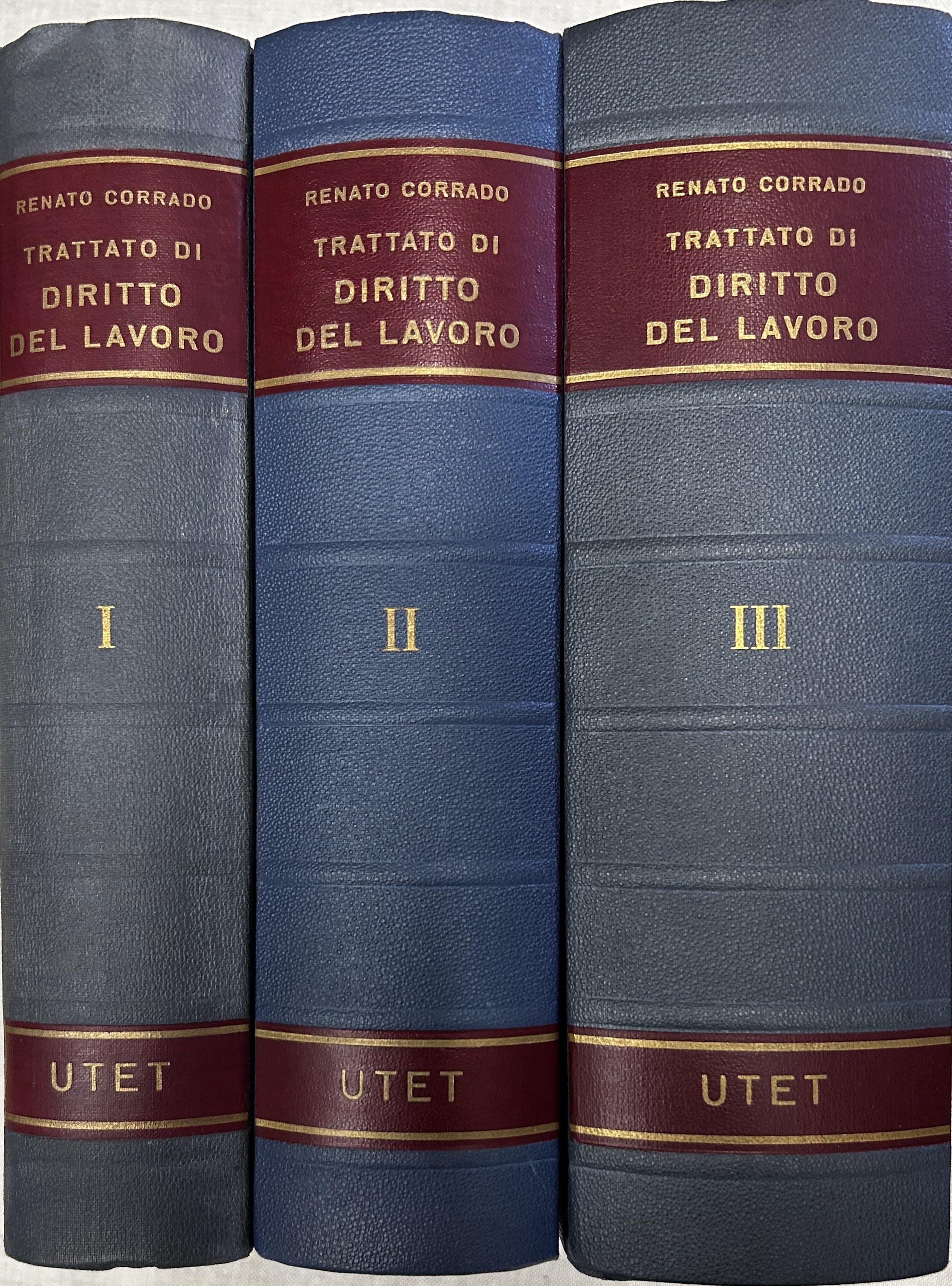 Trattato di diritto del lavoro