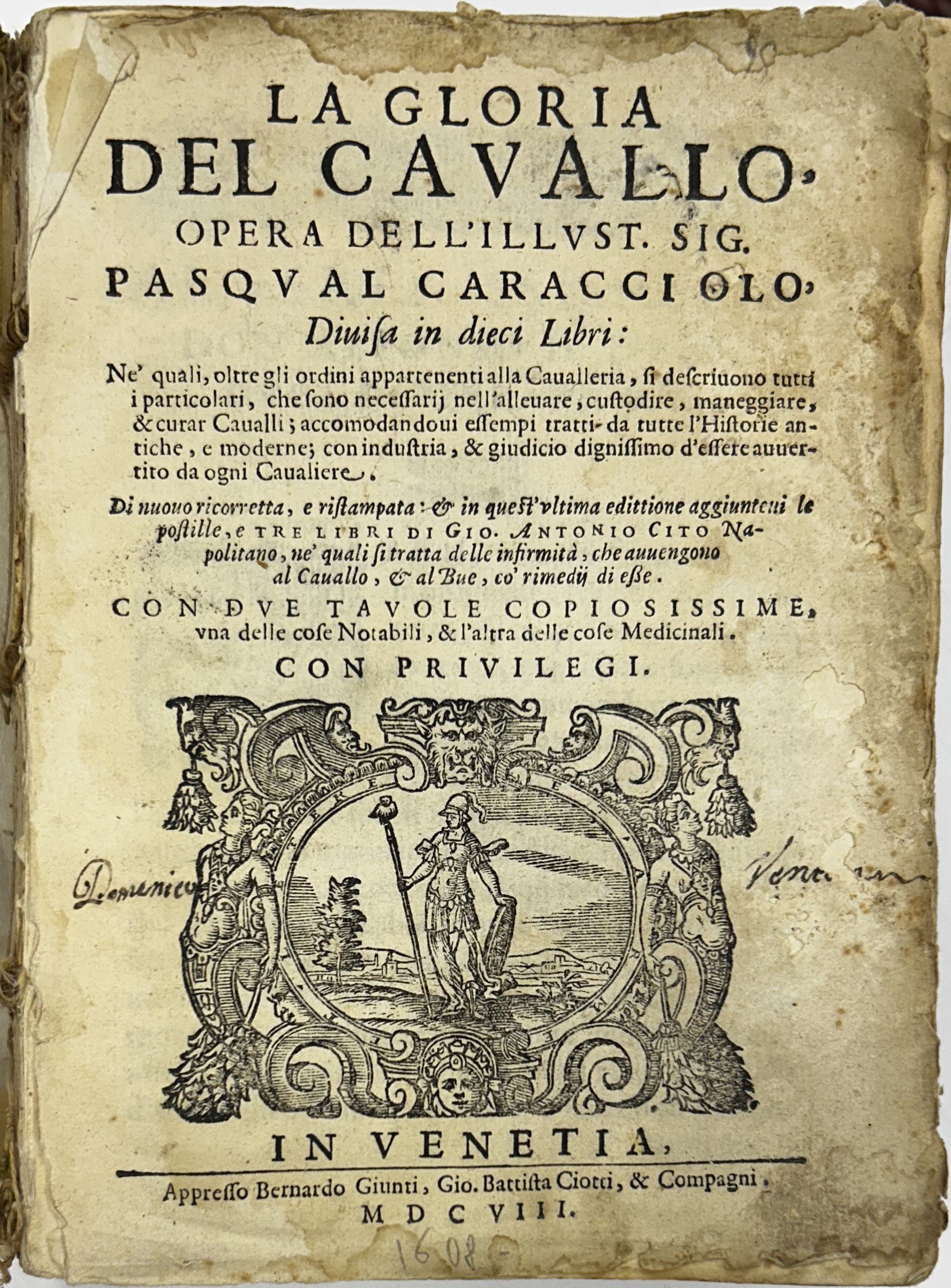 La gloria del cavallo