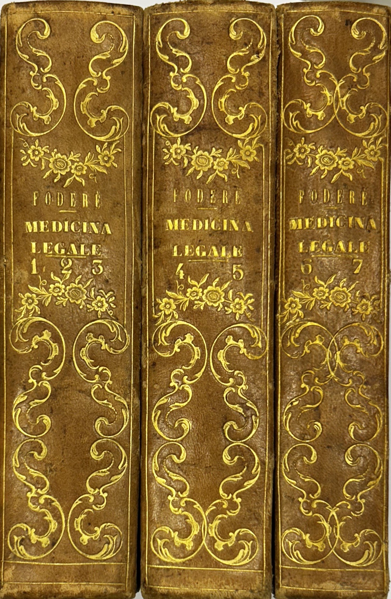 Le leggi rischiarate dalle scienze fisiche