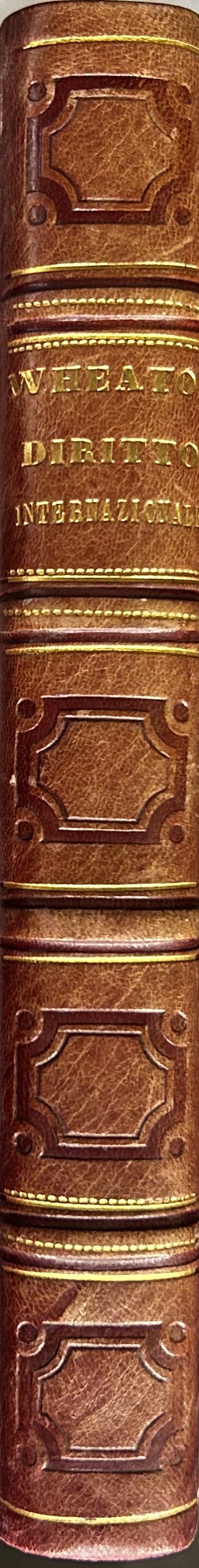 Elementi di diritto internazionale