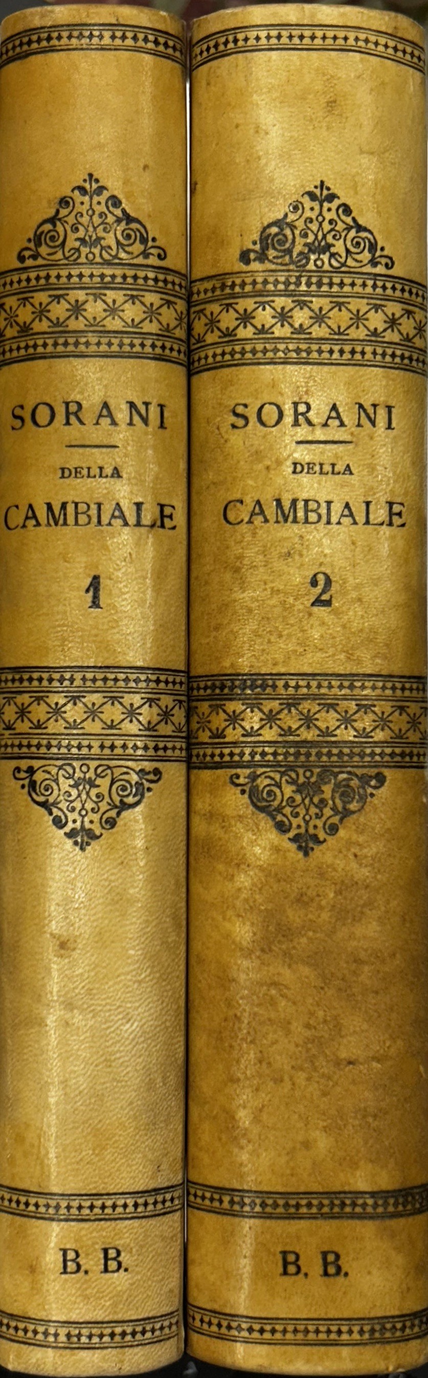 Della cambiale e dell'assegno bancario