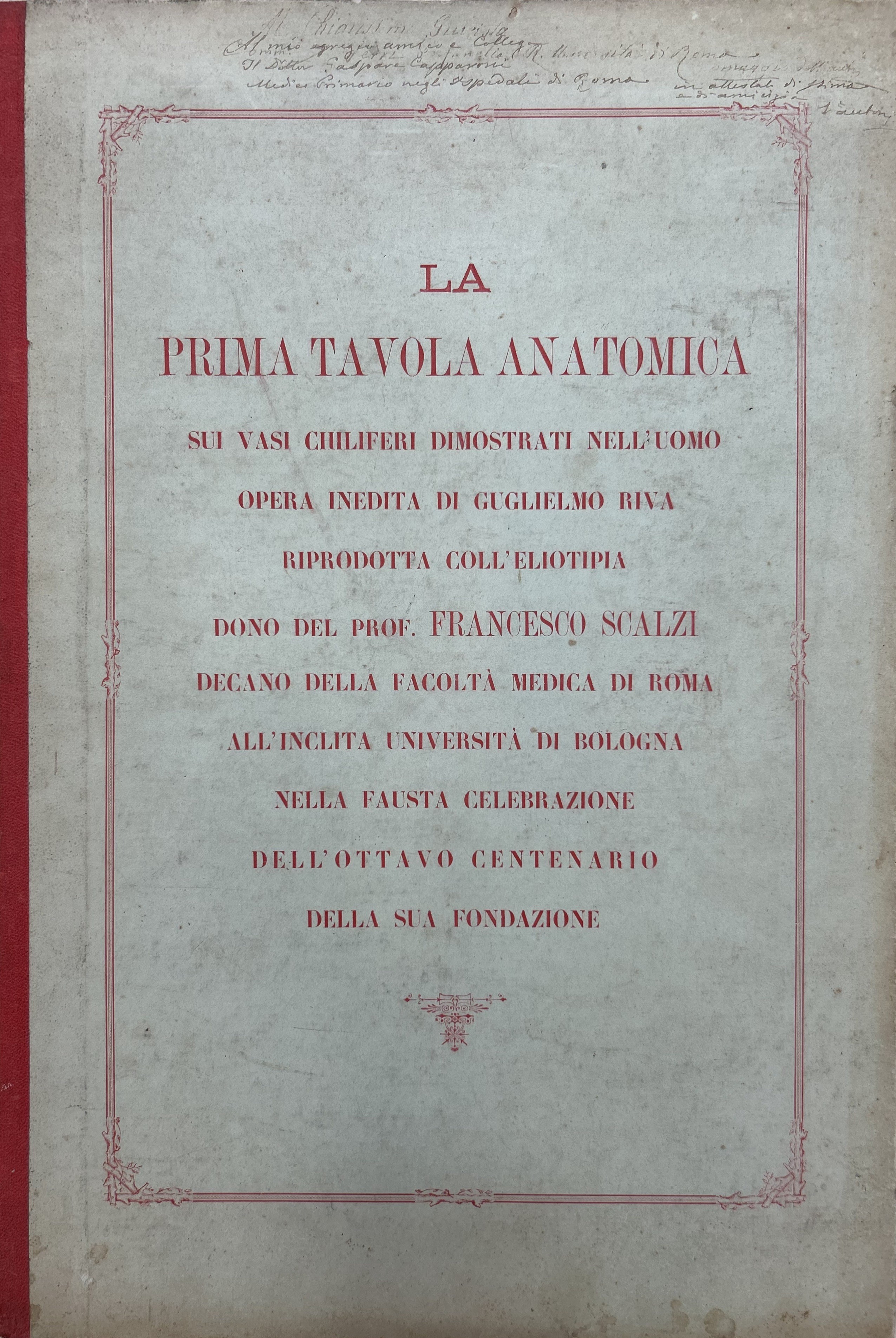 La prima tavola anatomica sui vasi chiliferi